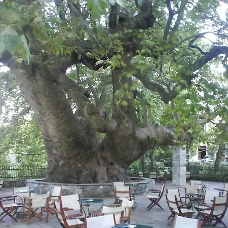 Ground Floor Stonehouse With Yard *